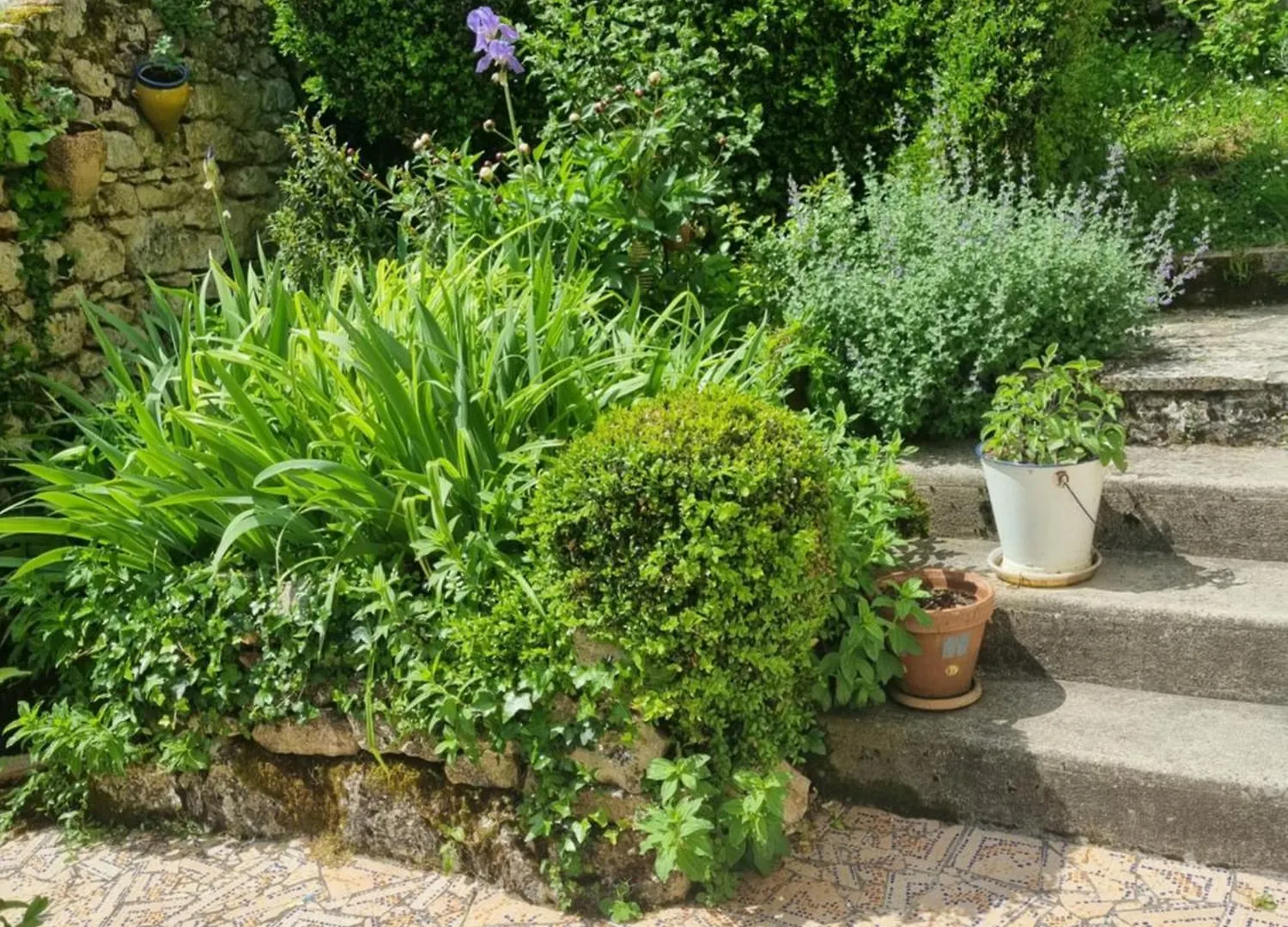 Quercy Blanc Maison En Pierre Lauzerte Frankrig
